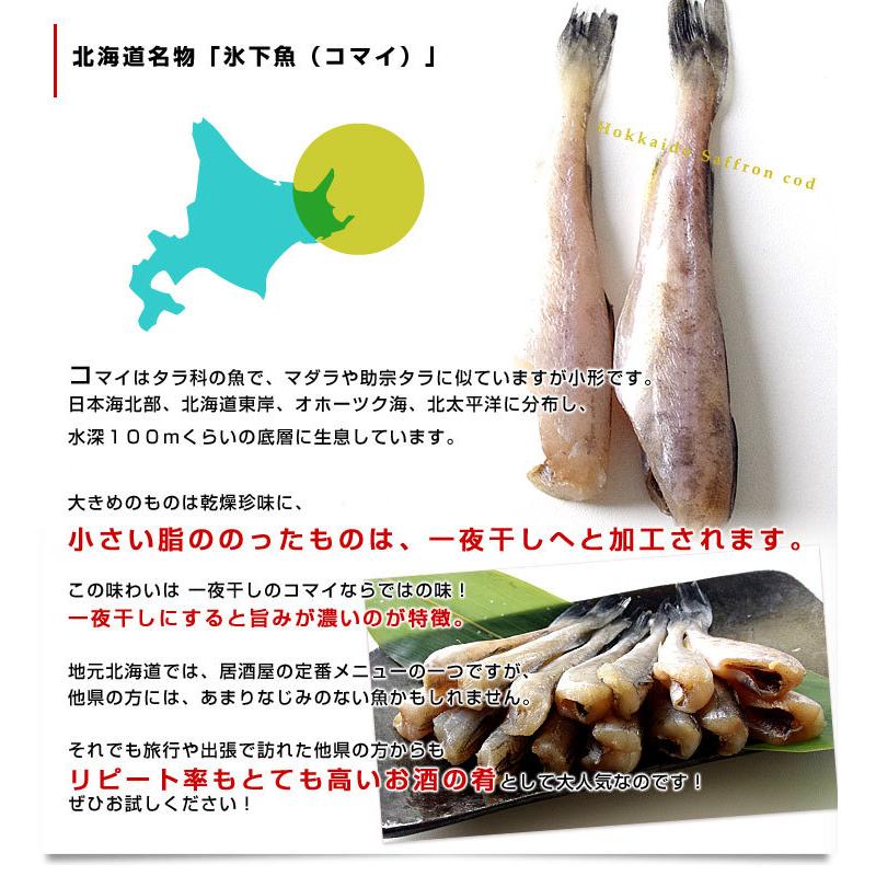 北海道より直送 北海道産 コマイ（氷下魚）の氷温乾燥一夜干し　約600g（200g×3袋）送料無料 ※クール冷凍便｜sanchokudayoriplus｜05