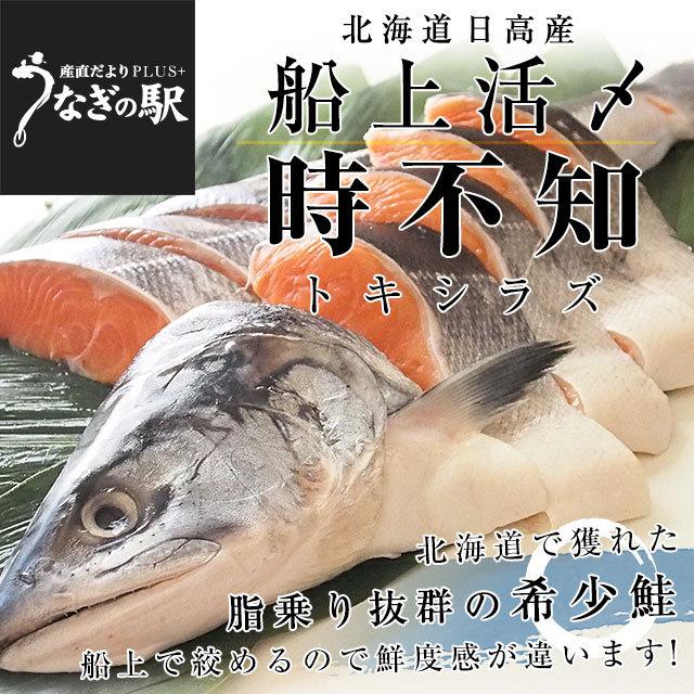 北海道から直送 北海道日高産 船上活〆 時不知 トキシラズ 半身 姿切身