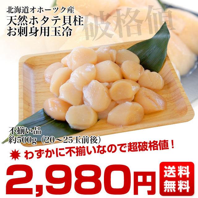 北海道より直送 北海道オホーツク産 ホタテ貝柱 玉冷 ご家庭用500g (20玉から25玉前後) 送料無料 ※クール冷凍便 |  | 01