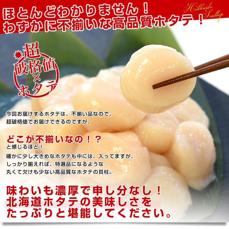 北海道より直送 北海道オホーツク産 ホタテ貝柱 玉冷 ご家庭用500g (20玉から25玉前後) 送料無料 ※クール冷凍便 |  | 02