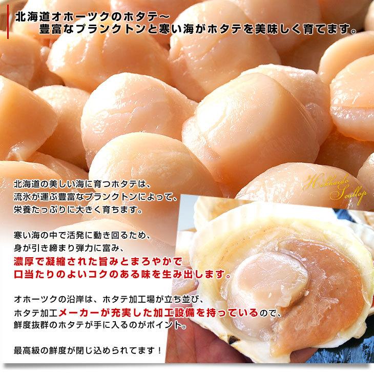北海道より直送 北海道オホーツク産 ホタテ貝柱 玉冷 ご家庭用500g (20玉から25玉前後) 送料無料 ※クール冷凍便 |  | 03
