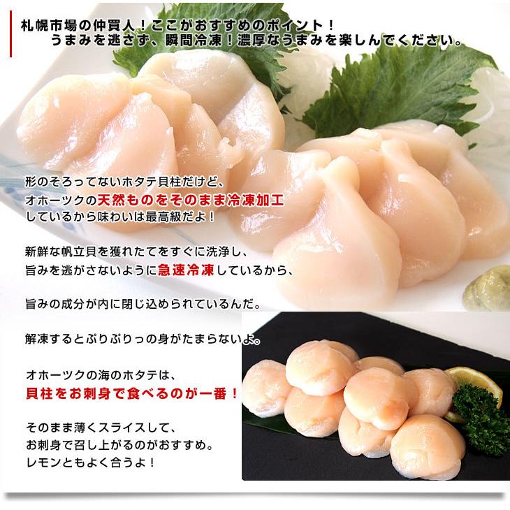 北海道より直送 北海道オホーツク産 ホタテ貝柱 玉冷 ご家庭用500g (20玉から25玉前後) 送料無料 ※クール冷凍便 |  | 04
