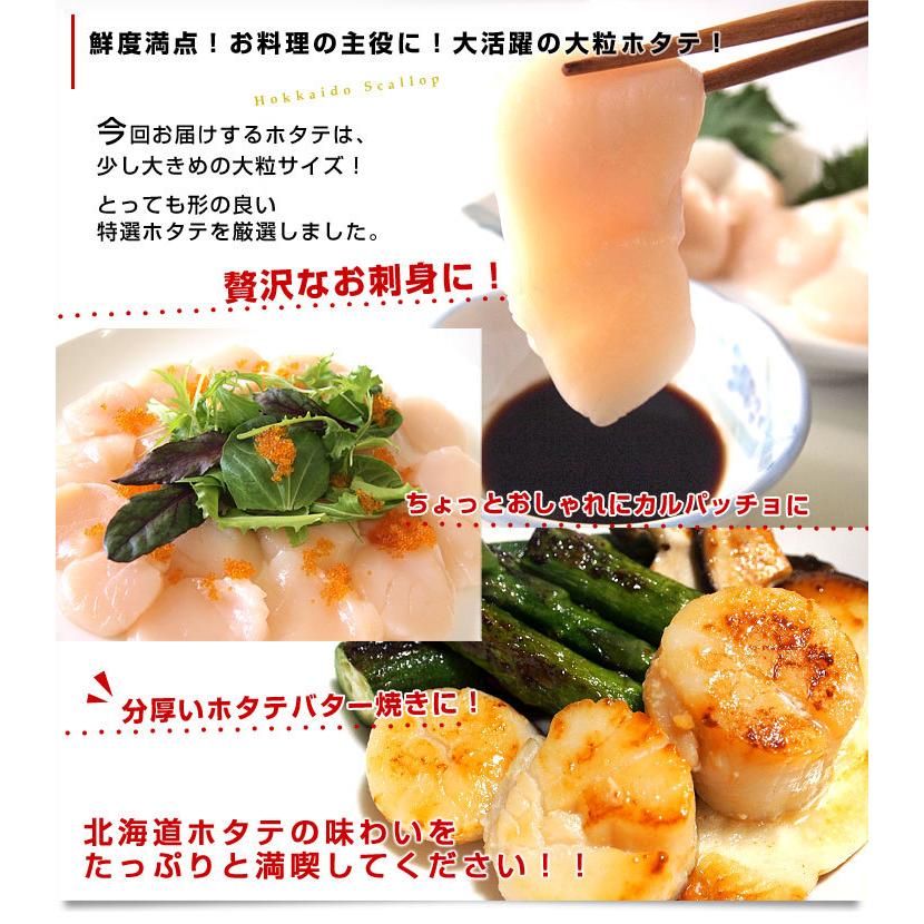 北海道より直送 北海道オホーツク産 ホタテ貝柱 玉冷 ご家庭用500g (20玉から25玉前後) 送料無料 ※クール冷凍便 |  | 05
