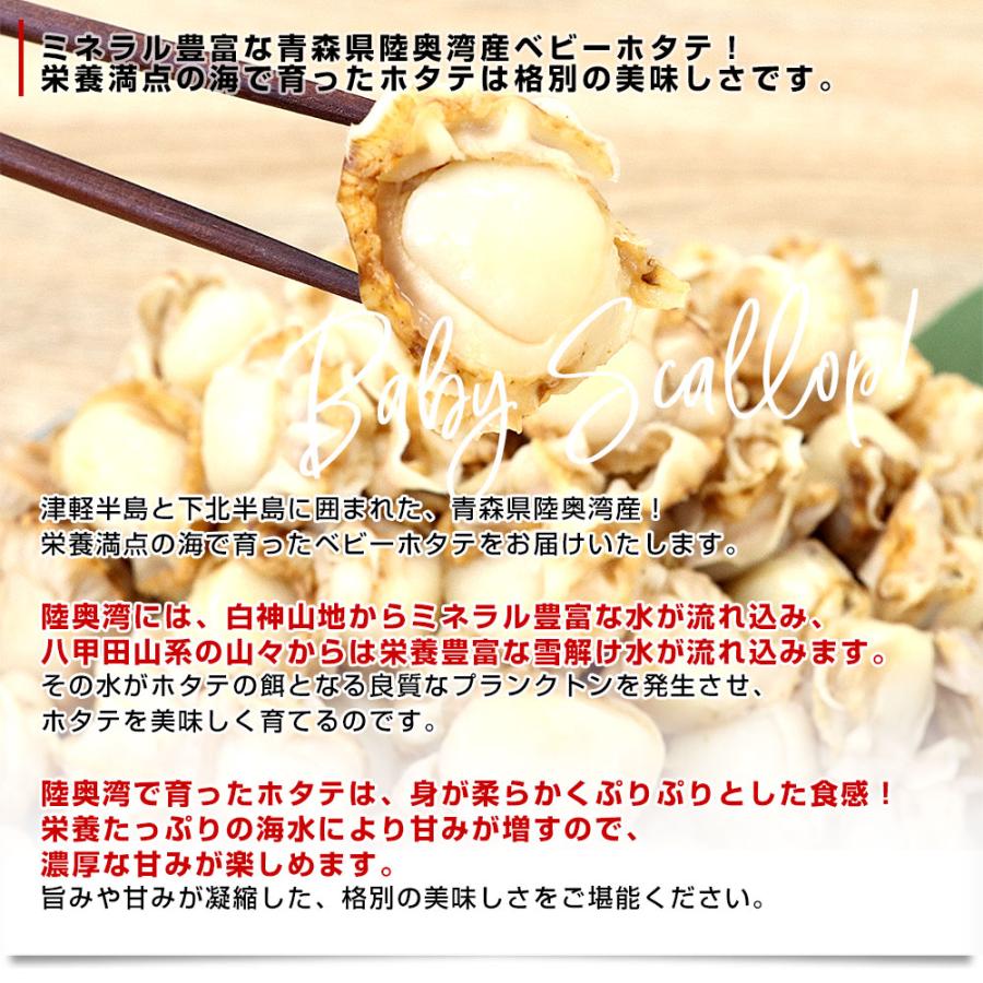 青森県陸奥湾産 ボイルベビーホタテ 1キロ MからSサイズ（100粒から150粒） 送料無料 帆立 ほたて 帆立貝 |  | 03