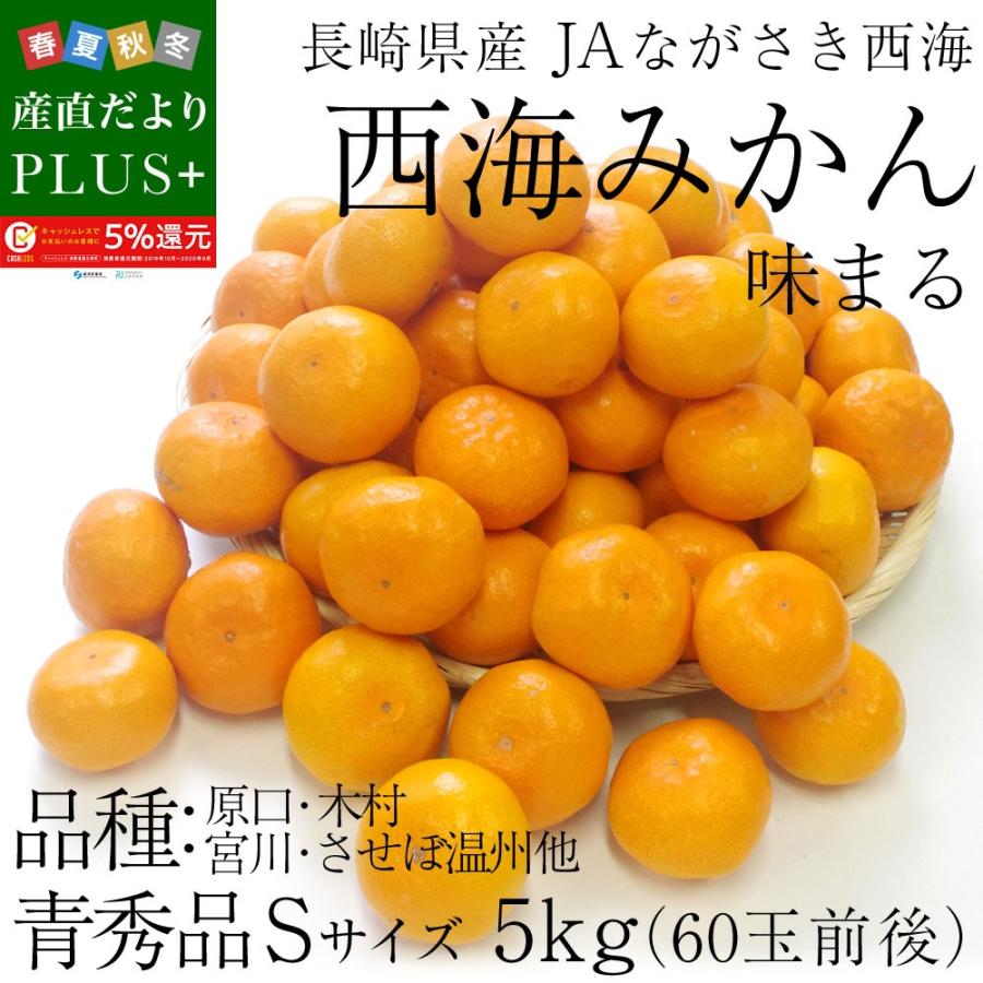 送料無料 長崎県産 ｊａながさき西海 西海みかん 味まる Sサイズ5キロ 青秀以上 みかん 早生みかん 産直だよりplus うなぎの駅 通販 Yahoo ショッピング