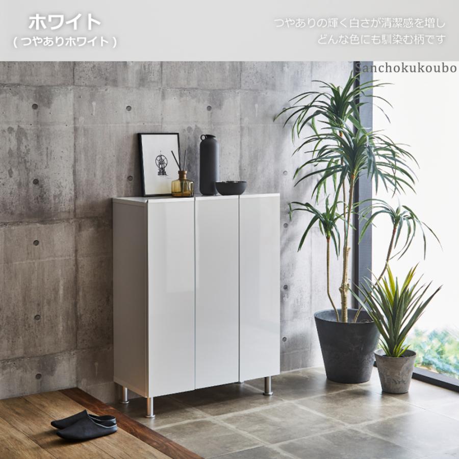 最終値下シューズボックス リアル 75ロータイプ 幅75cm2023年12月購入 RAL 幅75cm ロータイプ シューズボックス 収納BOX 下駄箱