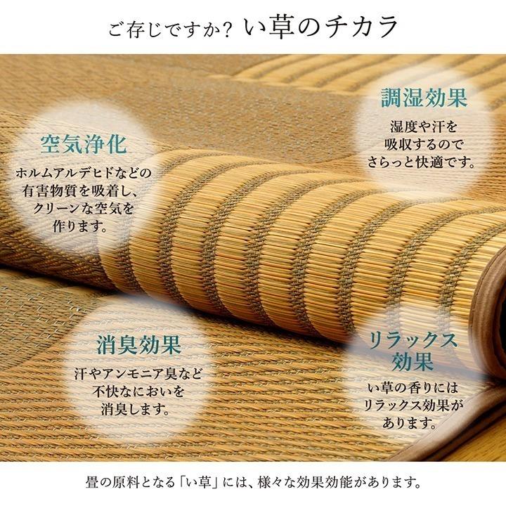 い草 ラグ カーペット ござ 国産 3畳 約191×250cm おしゃれ 日本製 畳 パッチワーク 北欧 モダン 和風 和柄 抗菌 防臭 日本産 滑りにくい 裏面 不織布