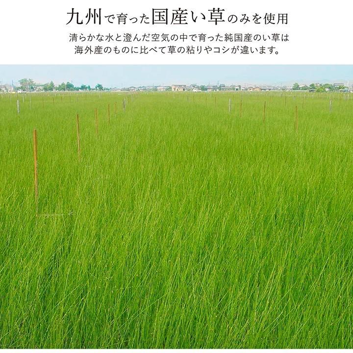 い草 ラグ カーペット ござ 国産 1.5畳 約140×200cm おしゃれ 日本製 無地 北欧 ウレタン クッション ゴザ 和風 イグサ 抗菌 防臭 日本産 センターラグ_9