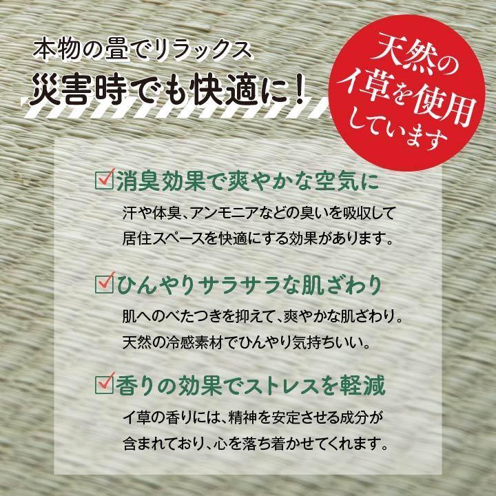 避難所 畳 ベッド マット マットレス 防災 グッズ ダンボール 段ボール ベッド 工具不要 緊急災害 災害用 い草 非常用 床下 収納 省スペース 簡易組立 ユニット_1