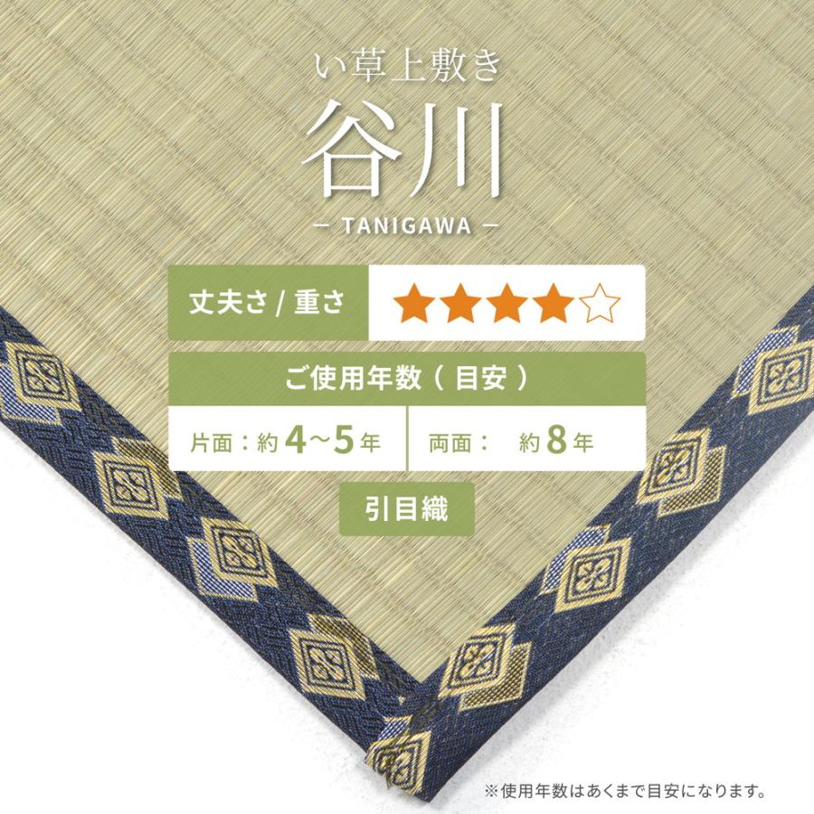 畳 上敷き い草 ござ カーペット 江戸間 8畳 五八間 約352×352cm 畳 上敷き い草 ござ カーペット 江戸間 8畳 五八間 約352×352cm
