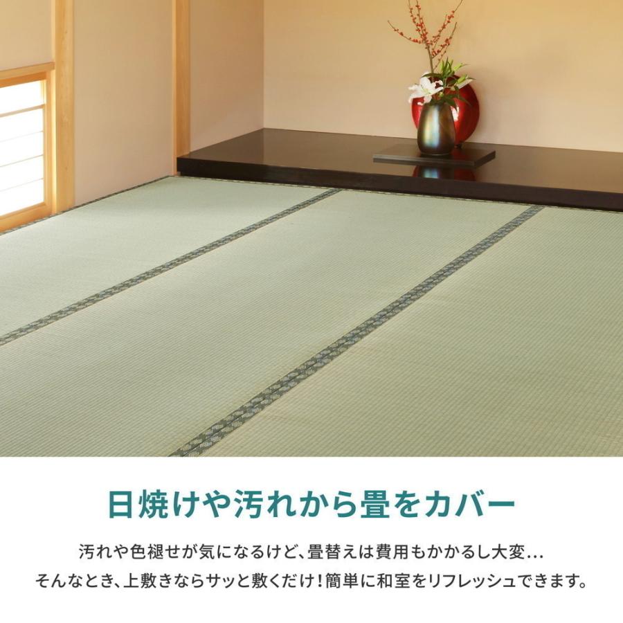 畳 上敷き い草 ござ カーペット 国産 江戸間 10畳 五八間 約352×440cm