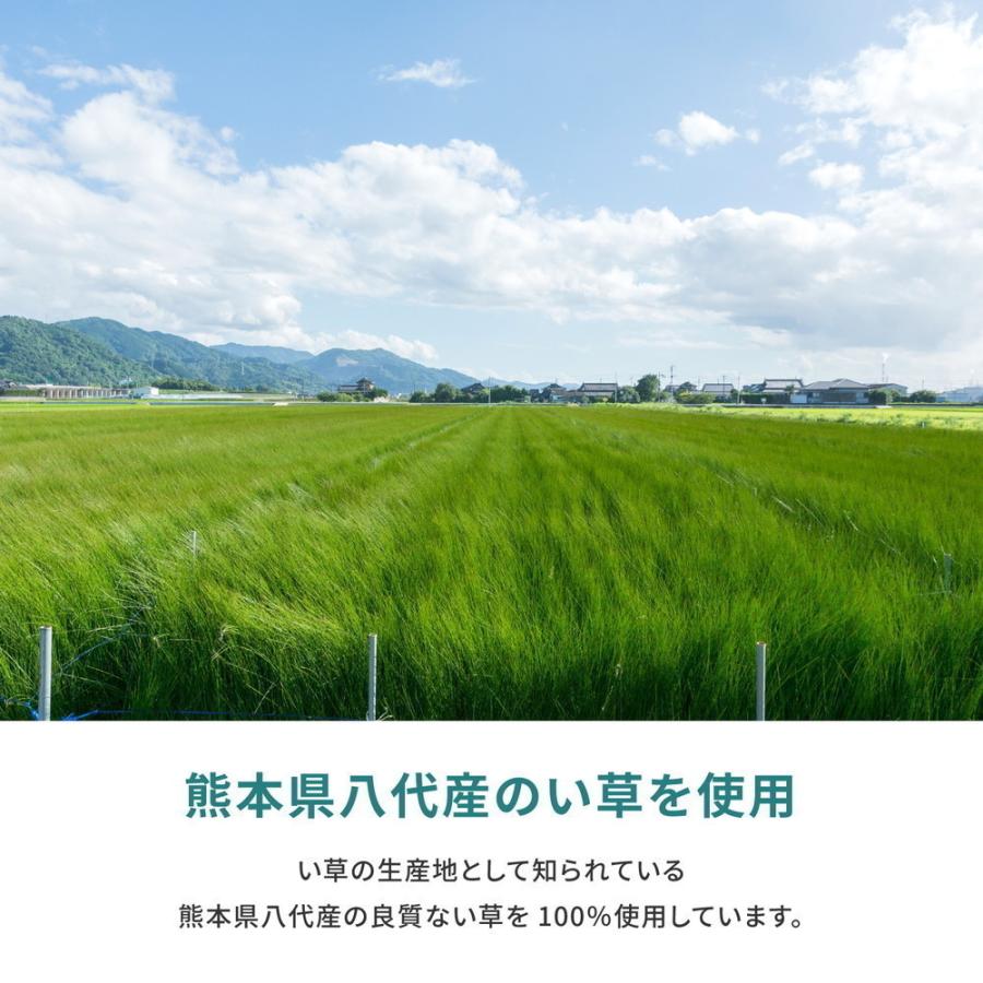 畳 上敷き い草 ござ カーペット 国産 江戸間 10畳 五八間 約352×440cm