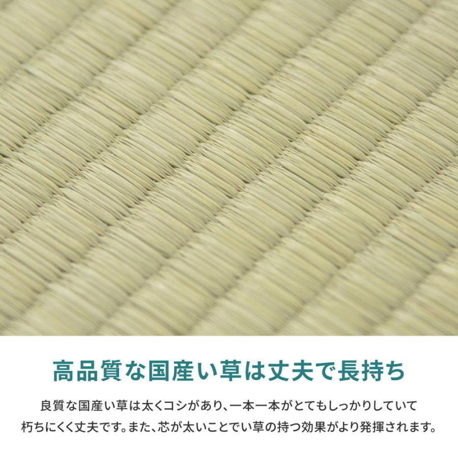 畳 上敷き い草 ござ カーペット 国産 江戸間 10畳 五八間 約352×440cm