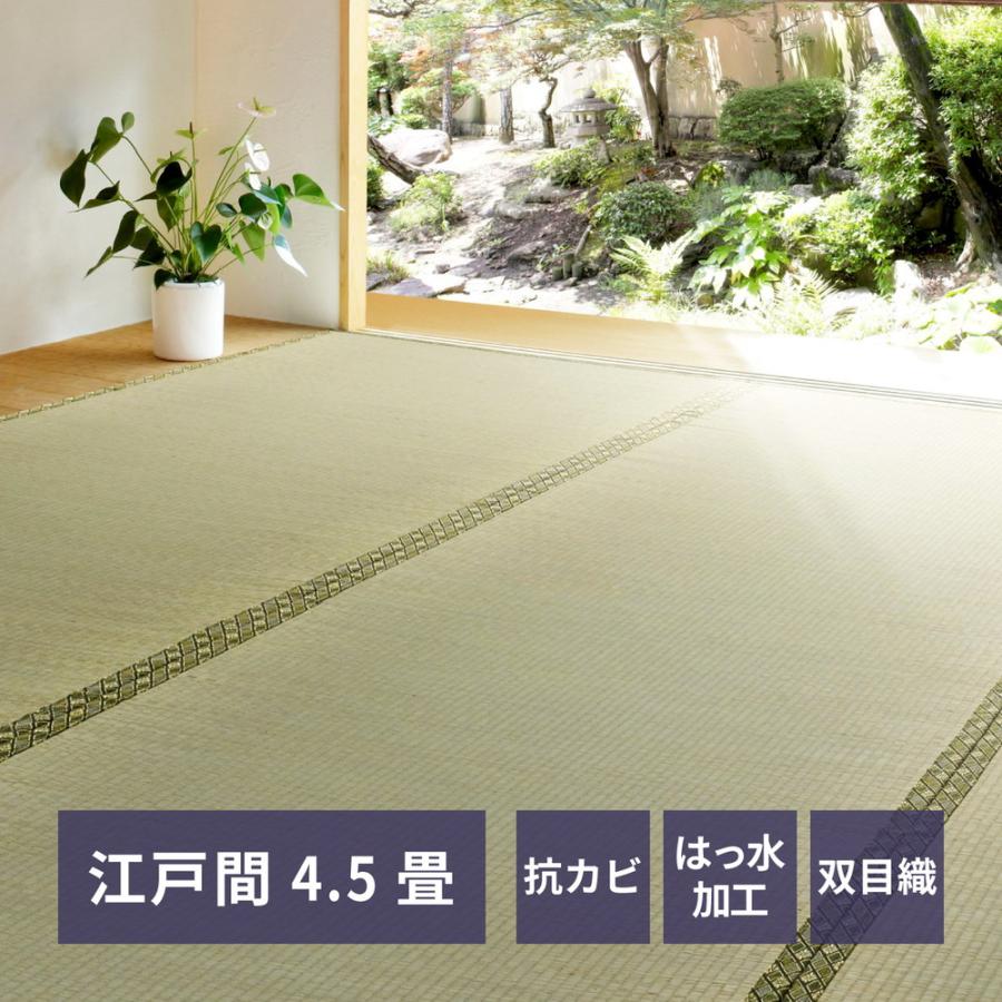 畳 上敷き い草 ござ カーペット 江戸間 4.5畳 五八間 約261×261cm 抗