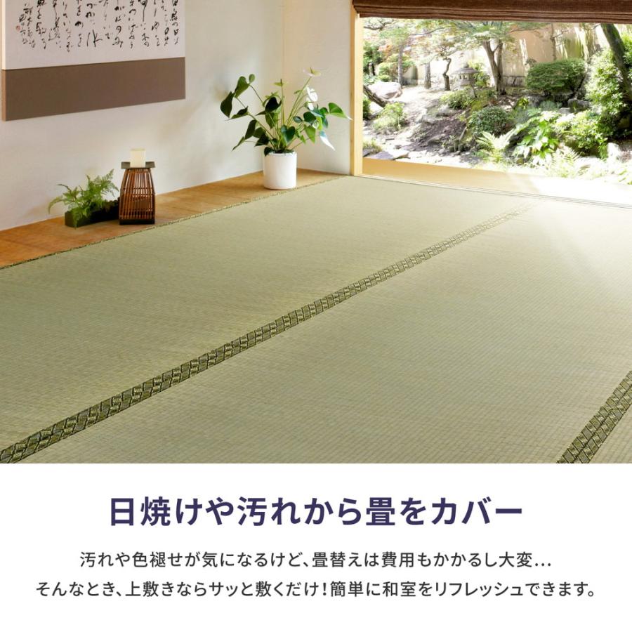 畳 上敷き い草 ござ カーペット 江戸間 4.5畳 五八間 約261×261cm 抗