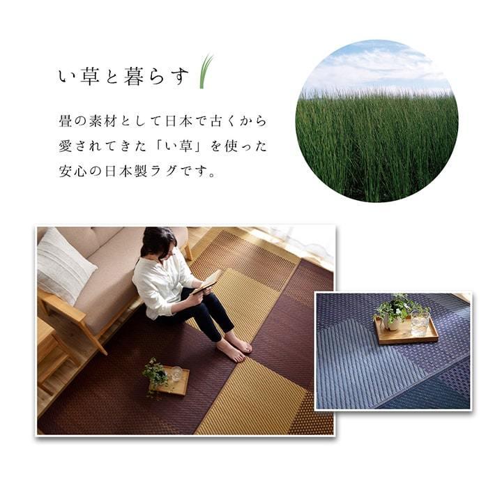 い草 ラグ カーペット ござ 国産 3畳 約 191×250cm おしゃれ 市松