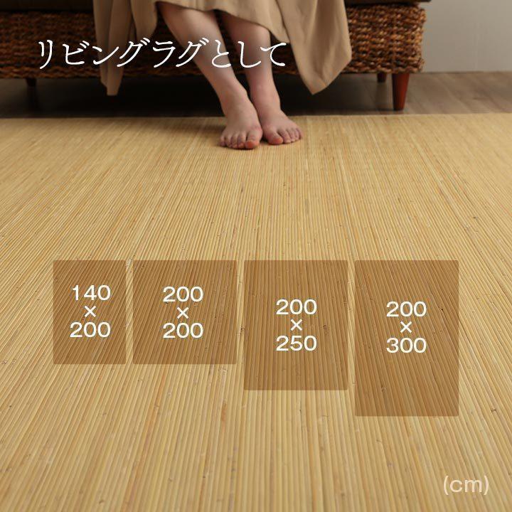 むしろ 籐 ラタン ラグ カーペット ござ 京間 本間 4.5畳 約 286 むしろ 籐 ラタン ラグ カーペット ござ 京間 本間 4.5畳 約 286