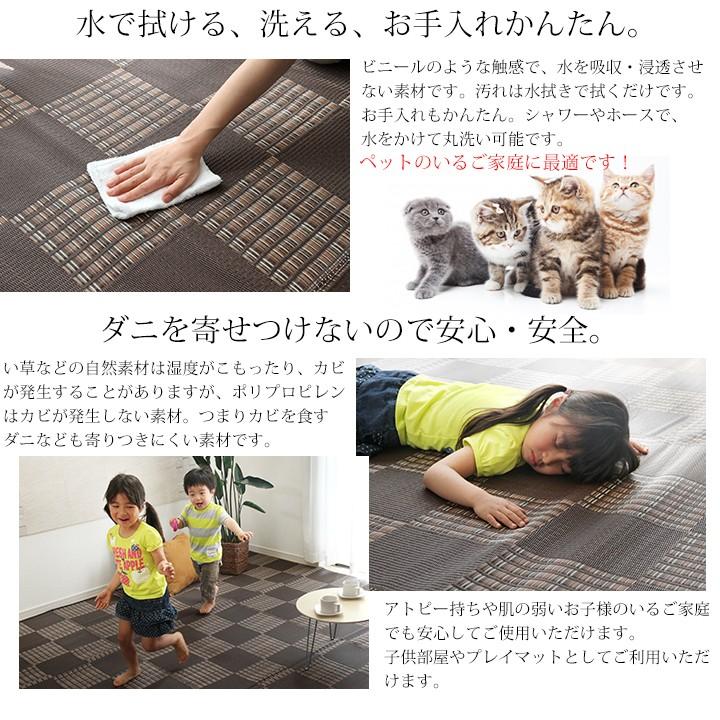 い草 風 ラグ カーペット 江戸間 6畳 261&times;352cm 国産 おしゃれ 洗える ペット マット ポリプロピレン PP ダイニングラグ レジャーシート  デザイン 新生活