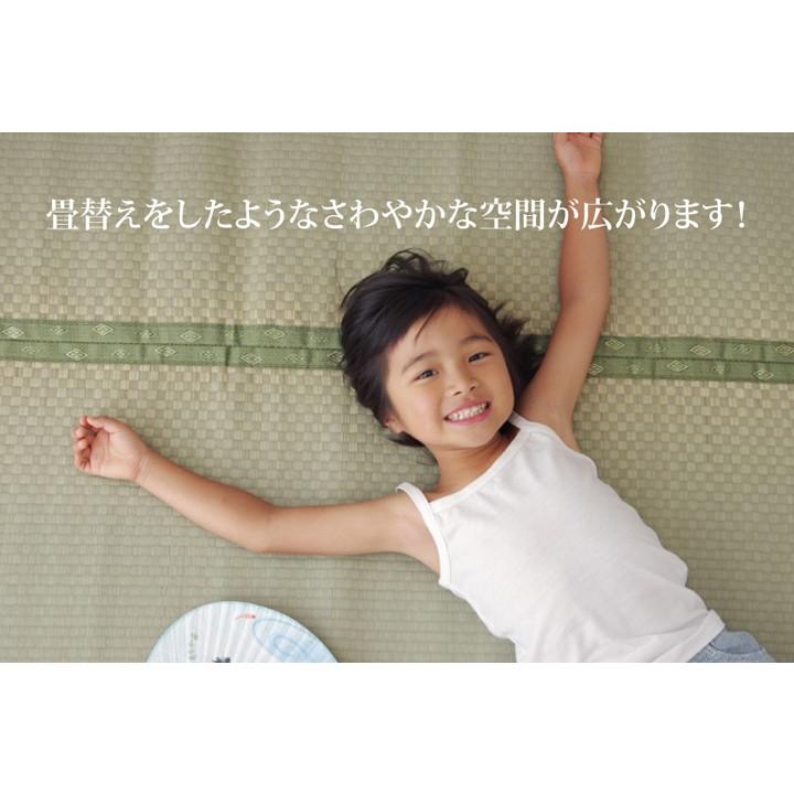 畳 上敷き 裏面 ウレタン 国産 い草 ござ カーペット 江戸間 3畳 176×261cm 日本製 八代産 熊本 市松織 コンパクト フリーカット ゴザ 和風