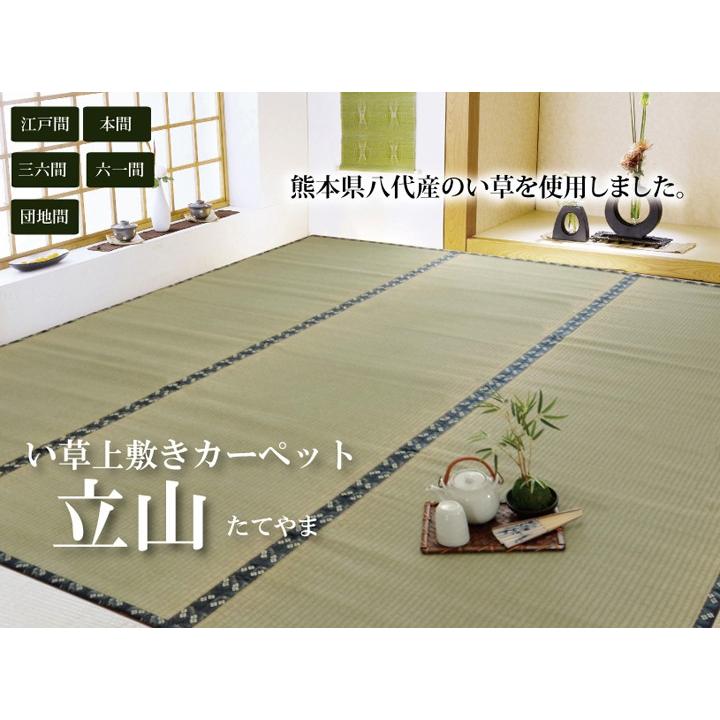 畳 上敷き 国産 い草 ござ カーペット 江戸間 3畳 約176×261cm 日本製 