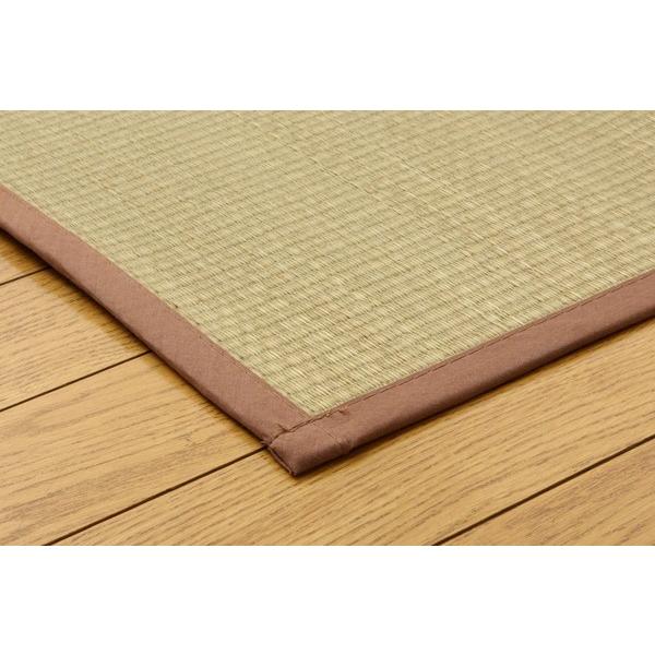 畳 上敷き 国産 無染土 無着色 い草 ござ カーペット 江戸間 3畳 五八間 約176×261cm 日本製 和室 ゴザ 和風 イグサ 抗菌 防臭 シンプル 安い