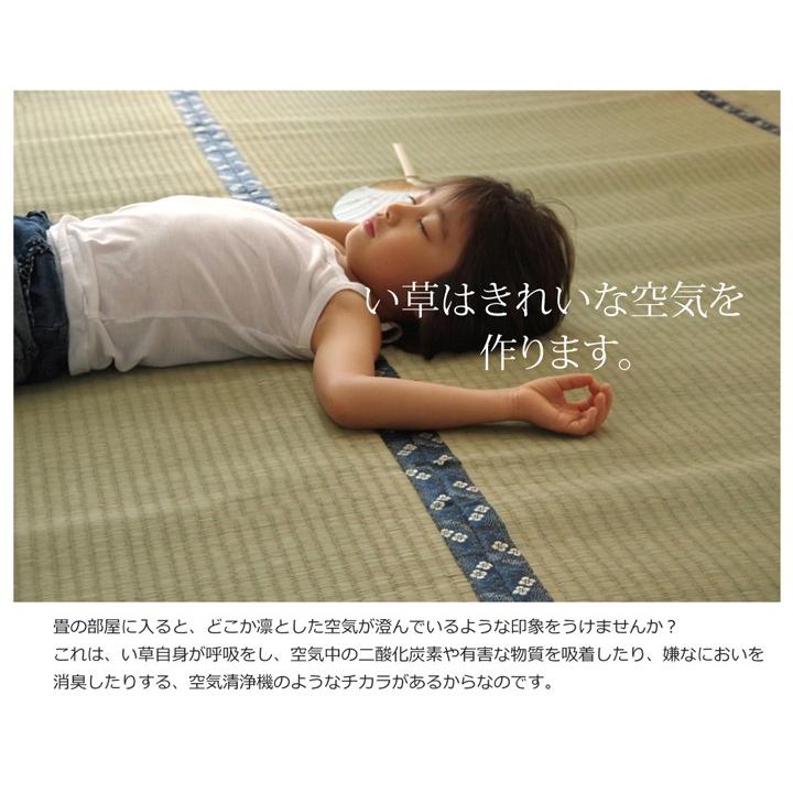 畳 上敷き 国産 い草 ござ カーペット 江戸間 4.5畳 五八間 約261×261cm 日本製 糸引織 ゴザ 和風 コンパクト イグサ 安い 抗菌 防臭 シンプル 梅柄_10