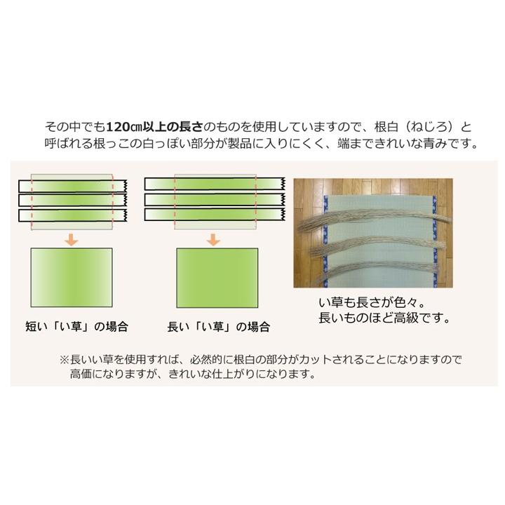 畳 上敷き 国産 い草 ござ カーペット 江戸間 4.5畳 五八間 約261×261cm 日本製 糸引織 ゴザ 和風 コンパクト イグサ 安い 抗菌 防臭 シンプル 梅柄_6