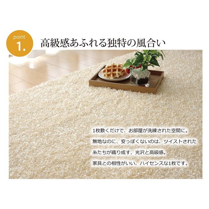 シャギー タフト ラグ おしゃれ 130×190cm 長方形 1.5畳 無地 ホットカーペット カバー 防炎 抗菌 防臭 防ダニ オールシーズン 夏 春 秋 冬 新生活