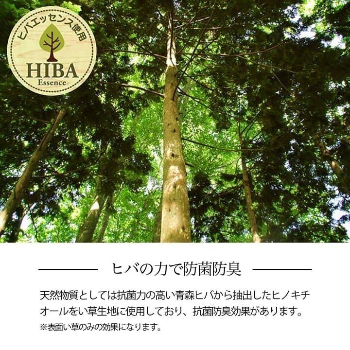 い草 ラグ カーペット ござ 団地間 4.5畳 約255×255cm おしゃれ 滑り止め 格子柄 畳 ゴザ 和モダン 和室 抗菌 防臭 消臭 新生活 一人暮らし_9