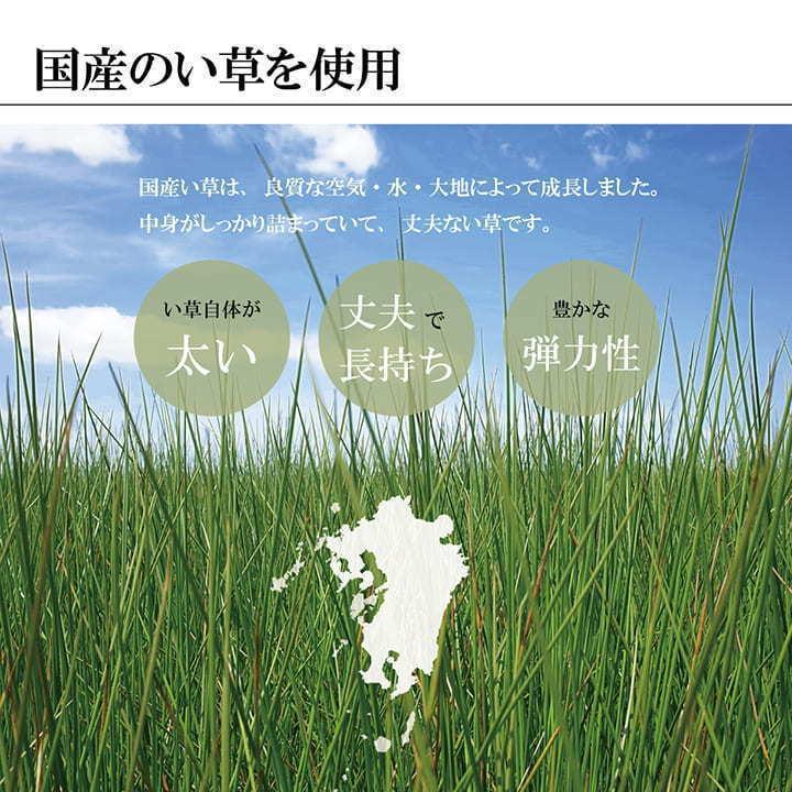 い草 ラグ カーペット 花ござ ござ 国産 江戸間 6畳 約261×352cm おしゃれ 日本製 畳 掛川織 上敷き 和風 和柄 和室 抗菌 防臭 五八間 日本産 高級_6