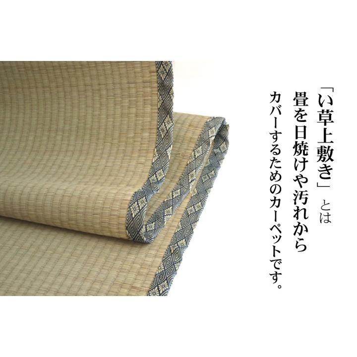 畳 上敷き 国産 い草 ござ カーペット 三六間 36間 6畳 中京間 約273