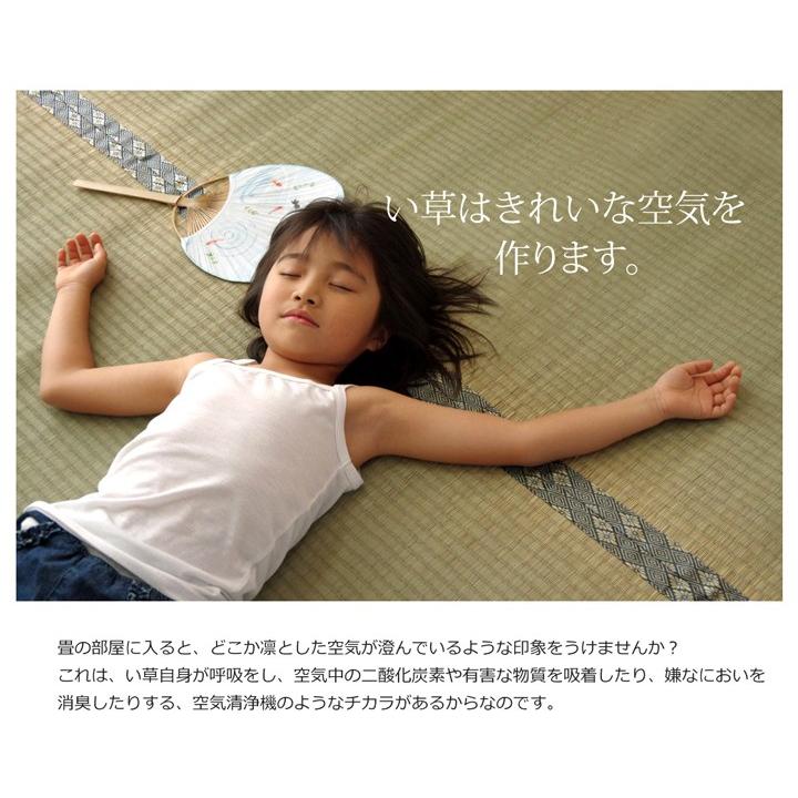 畳 上敷き 国産 い草 ござ カーペット 三六間 36間 6畳 中京間