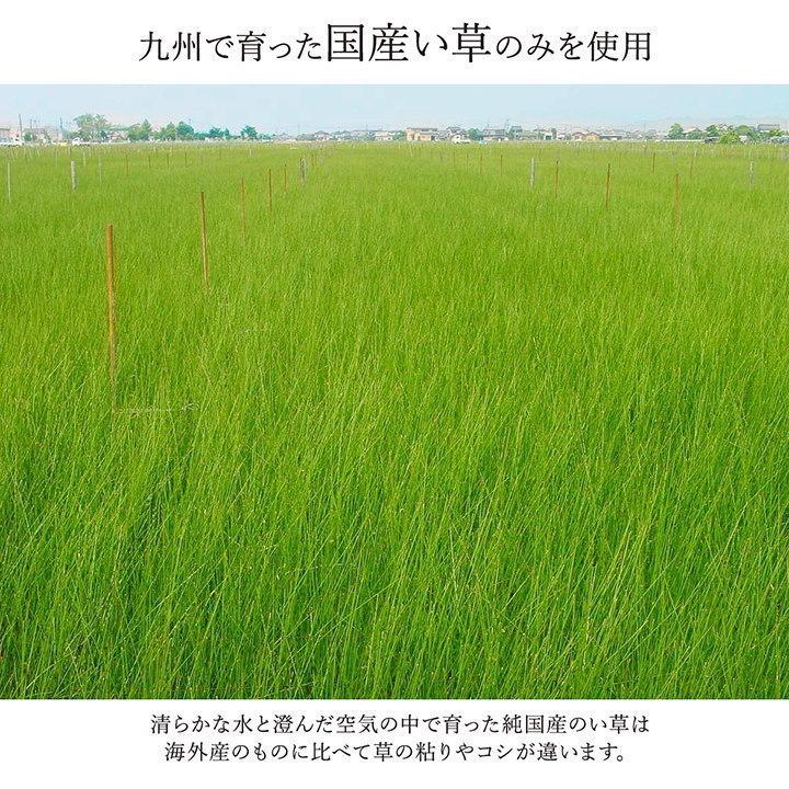 い草 ラグ カーペット 花ござ ござ 国産 本間 8畳 約 382×382cm おしゃれ 日本製 畳 パッチワーク 上敷き 和風 和柄 和室 抗菌 防臭 京間 日本産_9