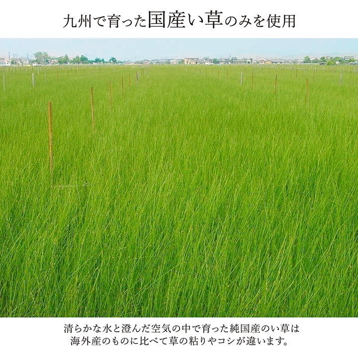 い草 ラグ 花ござ 花茣蓙 カーペット ござ 上敷き 国産 江戸間10