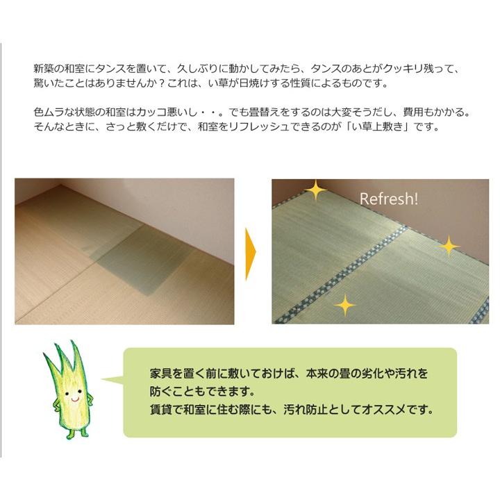 畳 上敷き 国産 い草 ござ カーペット 江戸間 10畳 五八間 約440 畳 上敷き 国産 い草 ござ カーペット 江戸間 10畳 五八間 約440