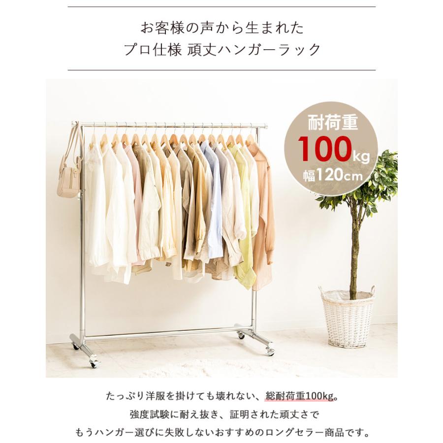 ハンガーラック スリム 頑丈 耐荷重100kg 幅120cm 伸長 昇降