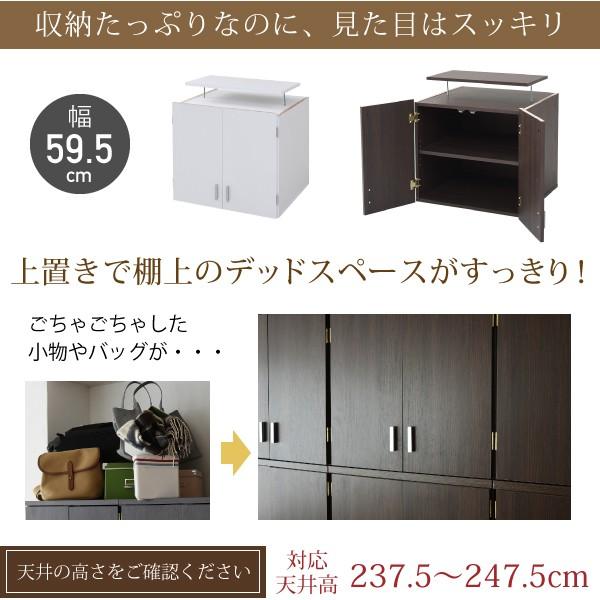 ロッカー シリーズ 上置き 棚 ラック 単品 幅60 天井 つっぱり 収納