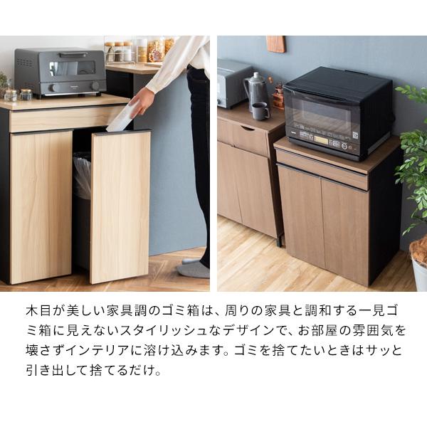ゴミ箱 おしゃれ ダストボックス 2分別 分別 キッチンペール 45