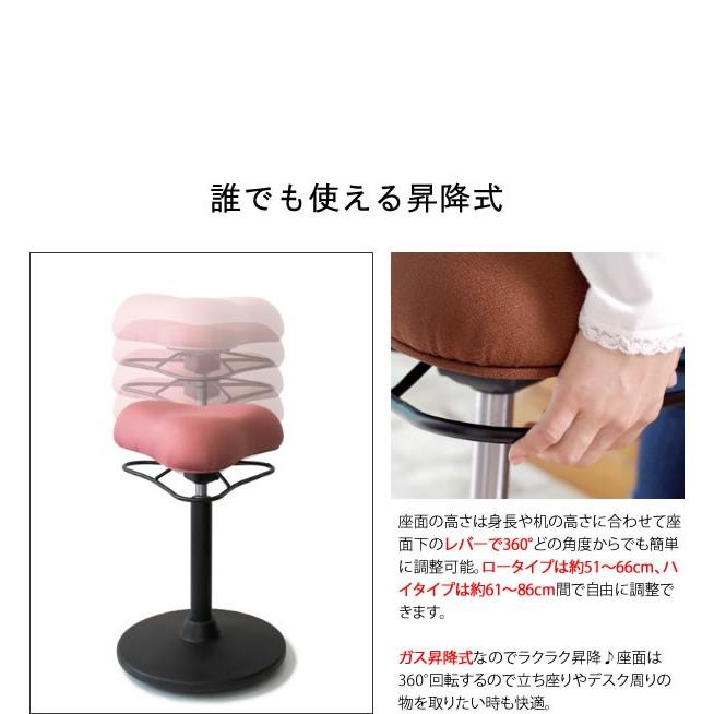 プロポーションスツール ロータイプ 健康 チェア 姿勢 矯正 バランス