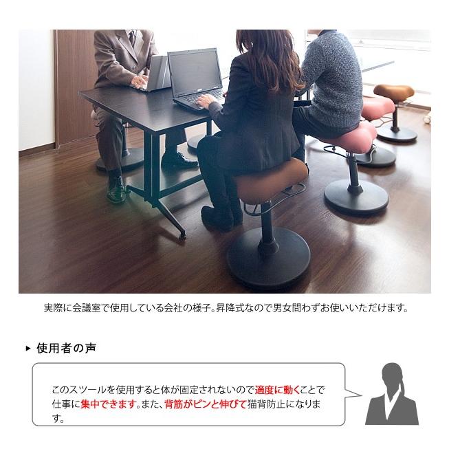 プロポーションスツール ロータイプ 健康 チェア 姿勢 矯正 バランス
