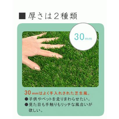 人工芝 ロール式 幅1m ×10m フリーカット 芝丈30mm リアル 芝 芝生