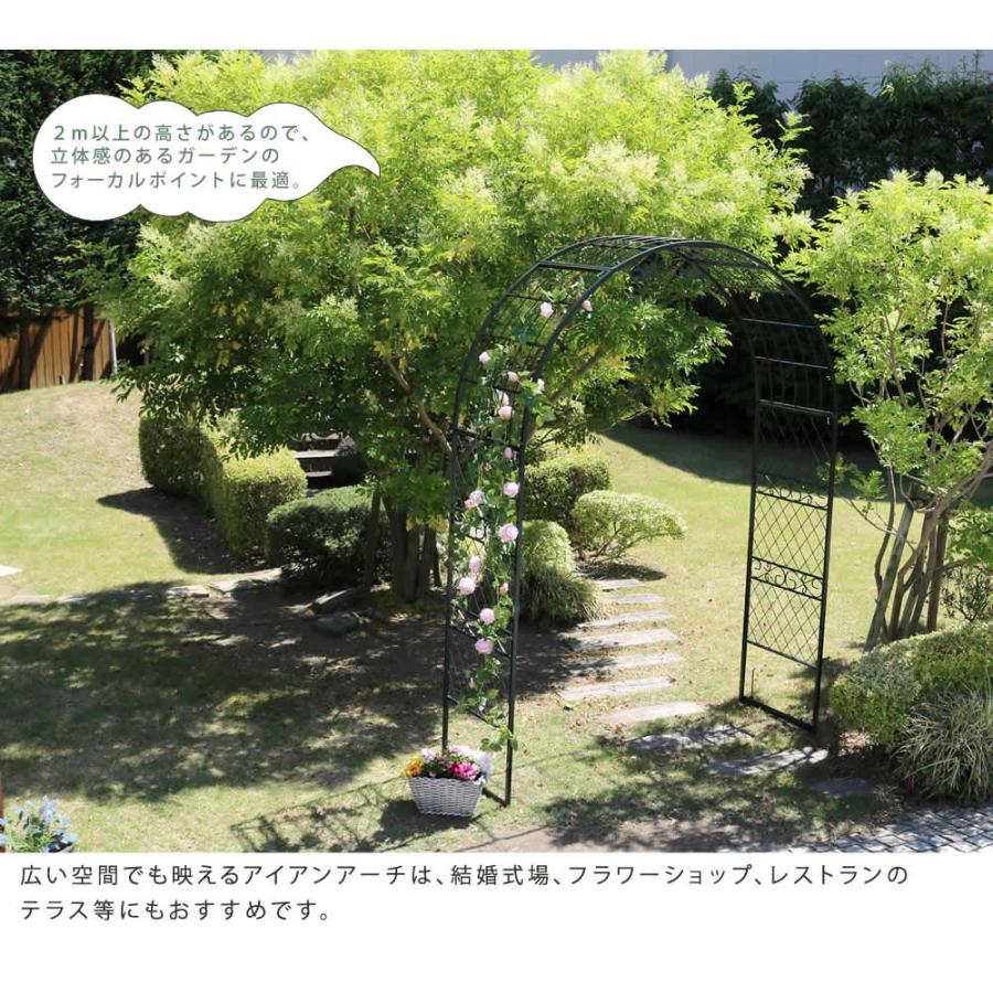 アーチ ガーデンアーチ ワイド おしゃれ 幅179 高さ250スチール 鉄製