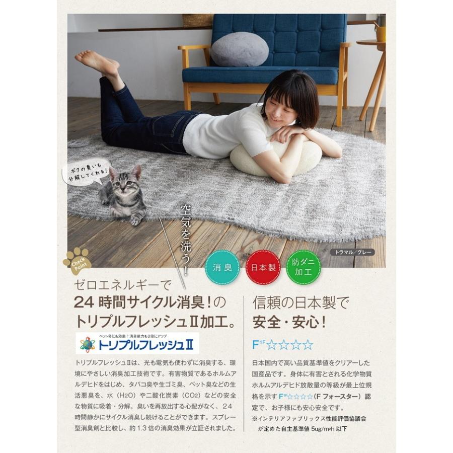 ラグモア】130×185cm ネコ型の消臭・防ダニ高機能ラグ 抗菌・制