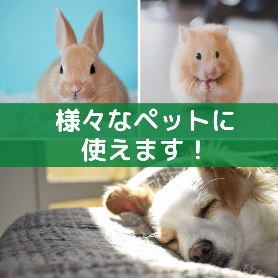 ペットと人にやさしい除菌消臭水★猫、犬のトイレの匂いに★【お得な大容量20L】｜sancyoku-soleil｜05