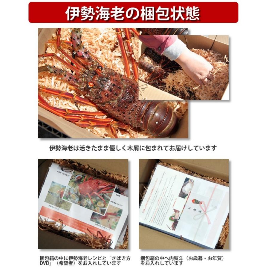 木型　伊勢海老 木型 伊勢海老