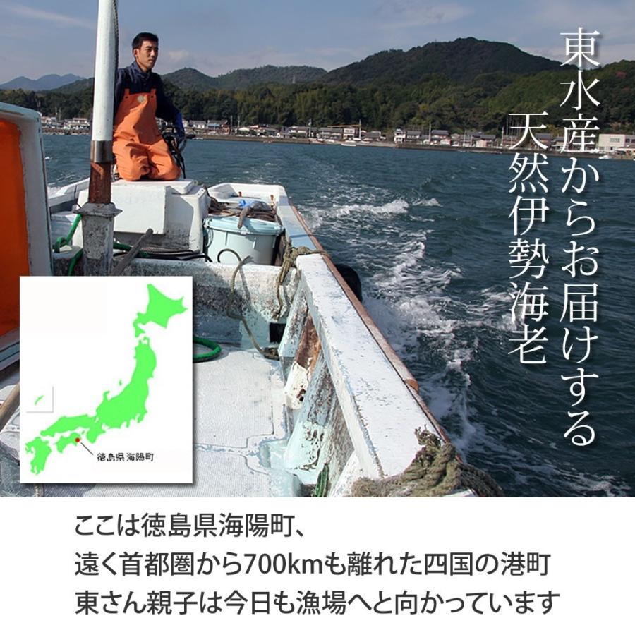 送込）（和歌山県産活け伊勢エビ　６～８尾で約１キログラム 楽天市場】【冷凍】国産 活〆伊勢海老 4尾セット（300〜400g）約