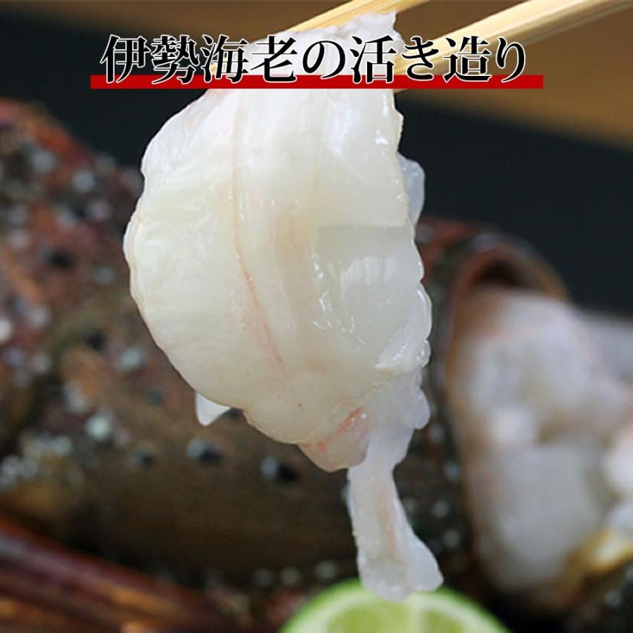 活伊勢海老 600g×1尾 天然伊勢エビ 冷凍ではありません、活きた