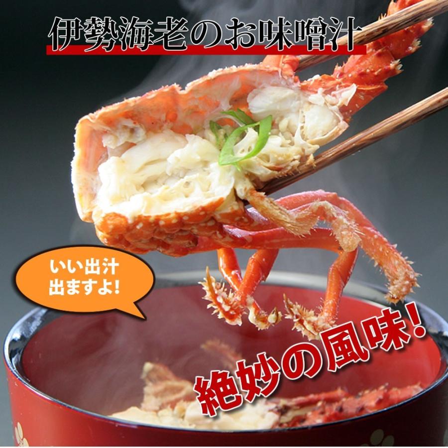 活きたままお届け 訳あり 伊勢海老 300g 1尾 徳島県産 ご家庭用 21 コロナ応援 天然伊勢エビ 産地直送 宅配便発送 Eb300 01 ありがとうわくわくの阿波の産直便 通販 Yahoo ショッピング