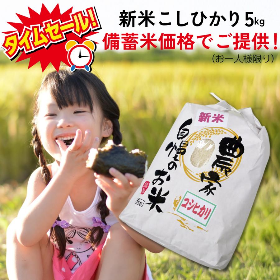 送料込み！限定セール！20kg、15kg、10kg、5kg(各2個ずつ) 楽天市場】1000円クーポン付○[クール便出荷] NITTOSEKKO 高級