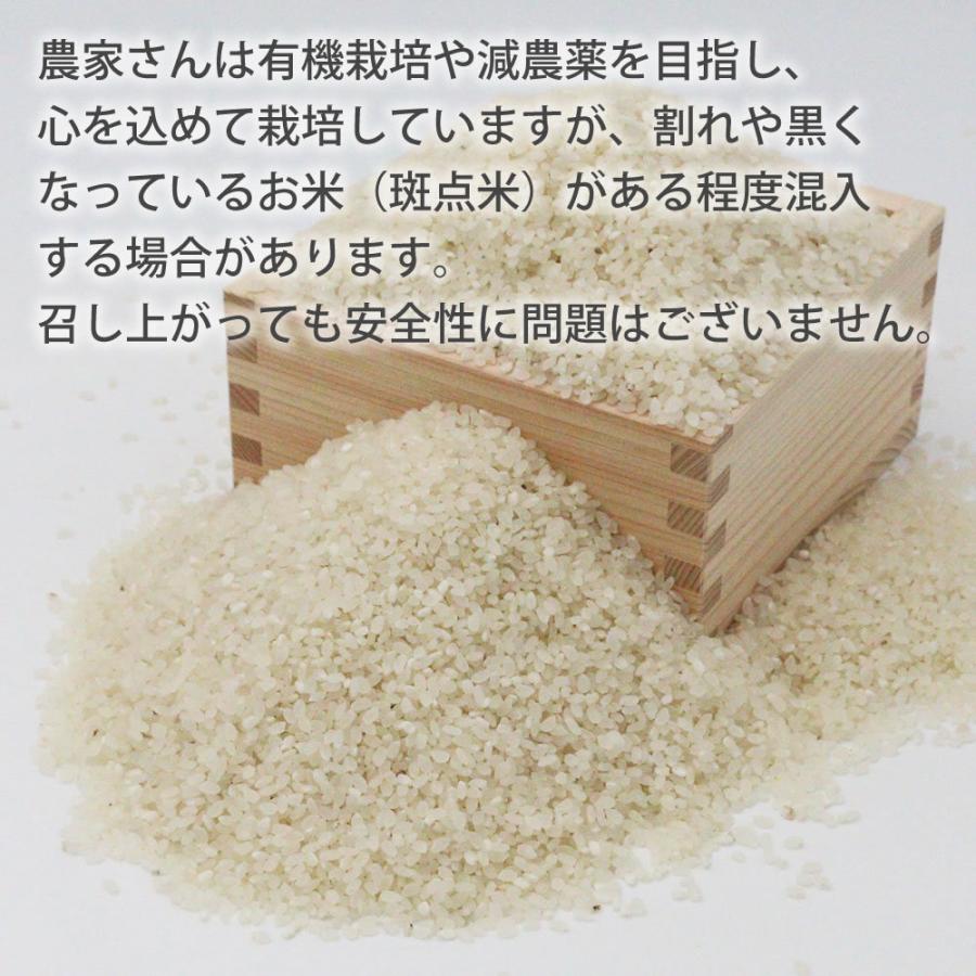令和7年産 新米 10kg コシヒカリ 玄米/精米（白米）即納 農家自慢お米